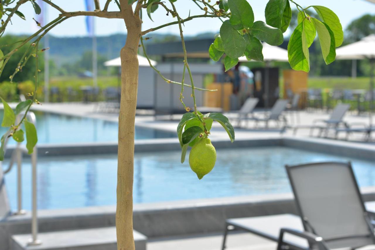 Mk Hotel Tirana Rinas エクステリア 写真 The swimming pool